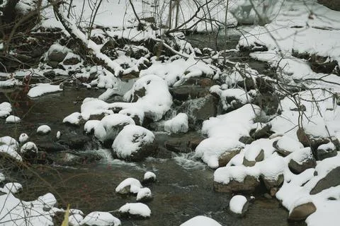 River, forest, river in forested mountains in winter Stock Photos
