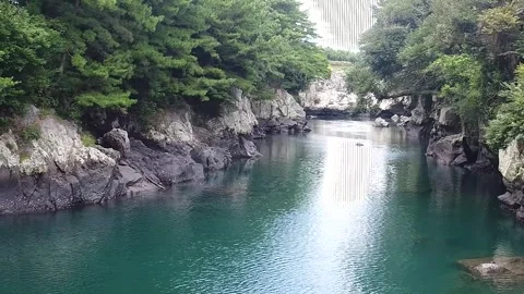 River in the forest, river in the mountain Video stock 310345199