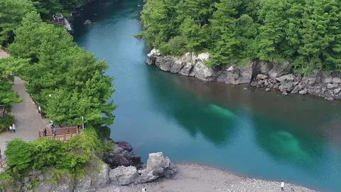 River in the forest, river in the mountain Video stock 310345205