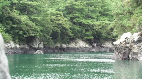 River in the forest, river in the mountain Video stock 310345605