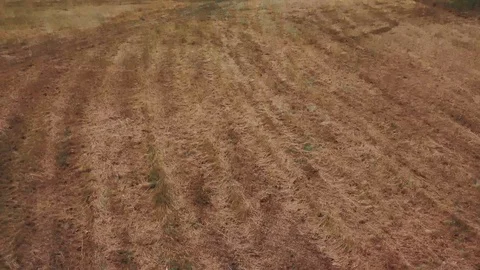 River forest road top view Stock Footage 112304877