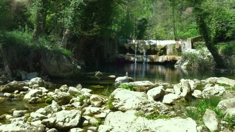 River in the forest with a small waterfall in the mountains Stock Footage 272751952