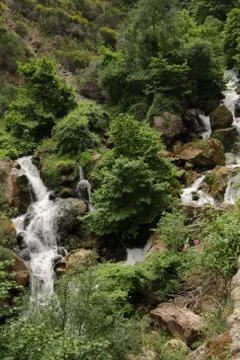 River in the forest with small waterfalls Stock Photos