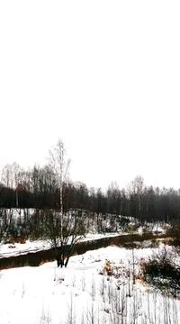 River, Forest, Snow Foto stock