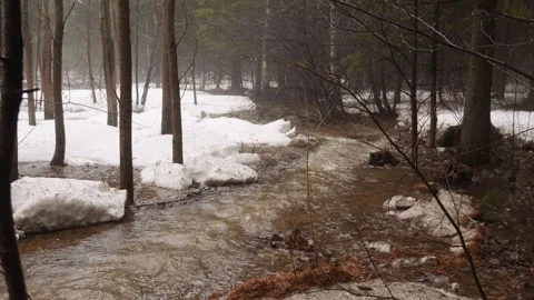River in forest with snow in spring Stock Footage 282013325
