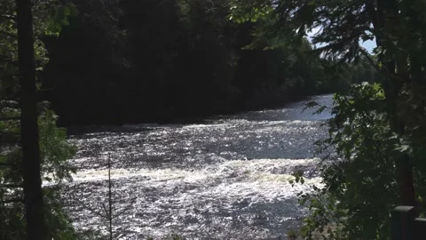 River in the forest; some white foam on water. Stock Footage 166117700