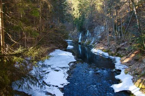 River in forest in spring 스톡 사진