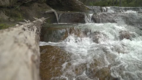A RIVER IN THE FOREST, A STEPPED WATERFALL Vídeo Stock 188149616