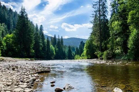 River in the forest with a stone beach on the background of green pines. Beau Stock Photos