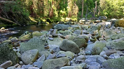 River in the forest with stones - sunlight  動画素材 67845018