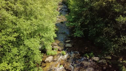 River in the forest. Streamflow on the mountain rocks. Clean and fresh water Stock-Footage 156034054
