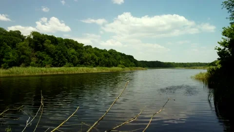 River in the forest in summer Stock Footage 160076321