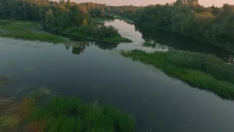 River forest sunset dawn sun jungle nature lake water tree 스톡 동영상 253573173