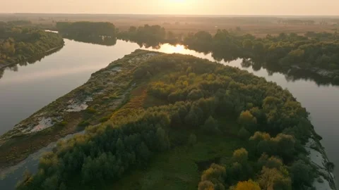 River forest sunset dawn sun jungle nature lake water tree Stock Footage 253573497