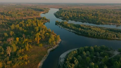 River forest sunset dawn sun jungle nature lake water tree Stock Footage 253573843