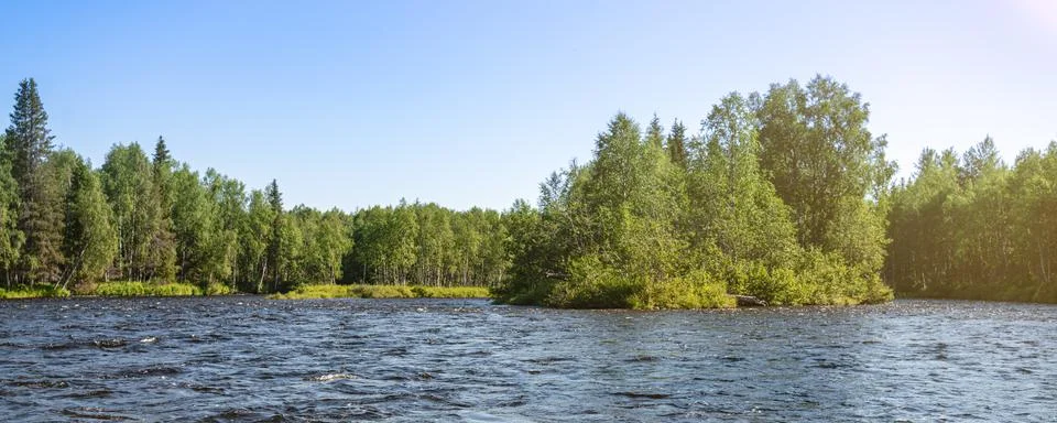 River in the forest taiga. Panoramic view of nature, summer day. Stock Photos