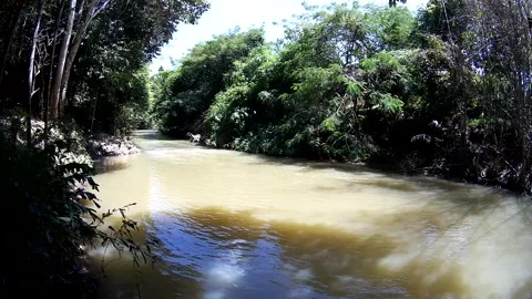 River in forest in Thailand Stock Footage 246591283