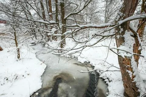 River in forest under snow 스톡 사진