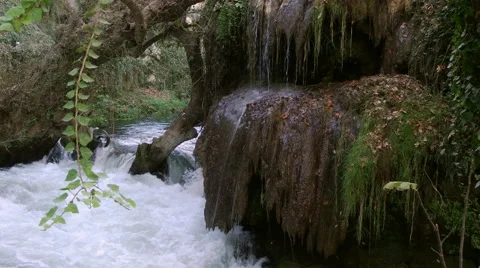 River in the forest with a waterfall Stock-Footage 59138602