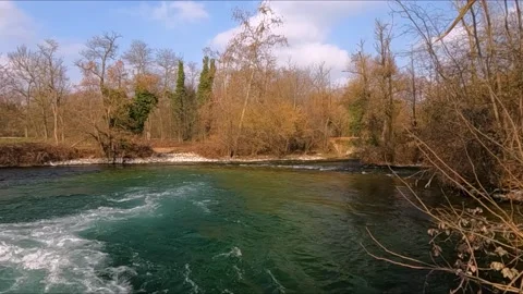 The river in the forest in winter day Stock Footage 234236643