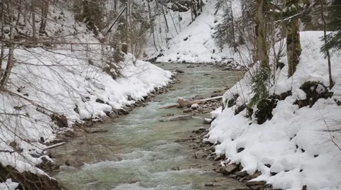 River in forest at winter Stock Footage 48599803