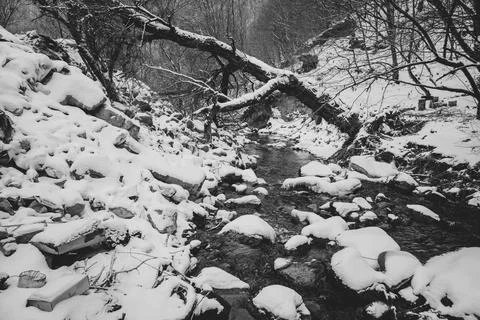 River, forest, winter, mountains, river in forested mountains in winter Stock Photos