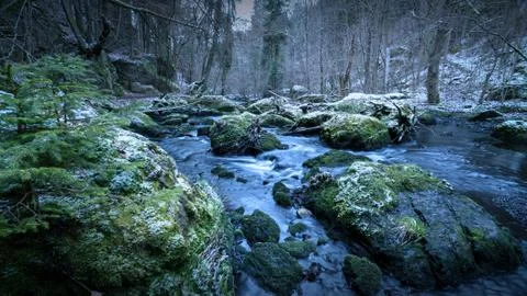 River in the forest in winter Stock Photos