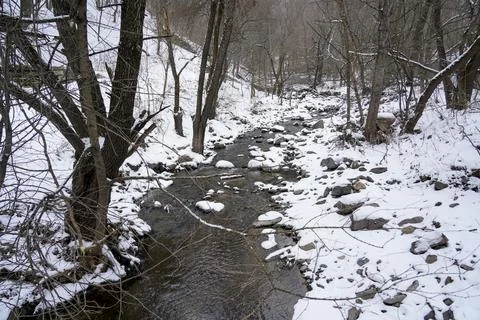 River in the forest in winter Foto stock