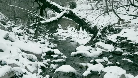 River in the forest in winter, river, mountains, winter, forest, nature Video stock 304620704