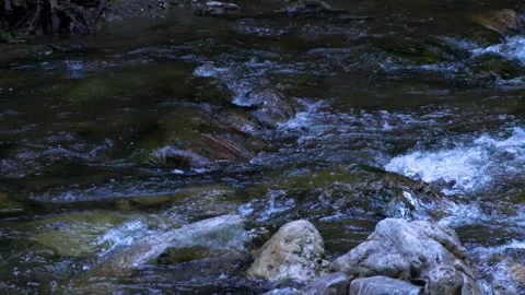 River in the forest.clean water Stock Footage 145318802