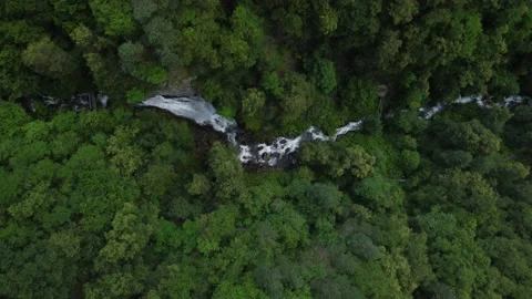 River in the forests of the Caucasus Stock Footage 231622722