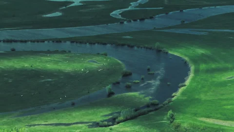 River, forests, fields, view from a helicopter. Desna river Stock-Footage 154458092
