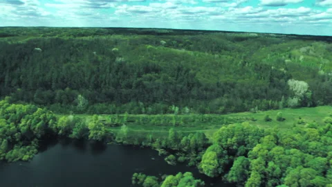 River, forests, fields, view from a helicopter. Desna river Video stock 154458457