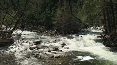 River Fork Stock Footage 8945972