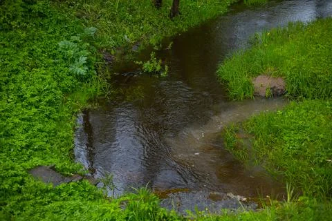 The river forms bubbles from raindrops and spring green grass on the shore. Stock Photos