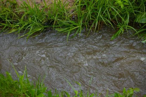The river forms bubbles from raindrops and spring green grass on the shore. Stock Photos