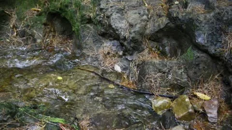 River in the forrest Stock Footage 22414926