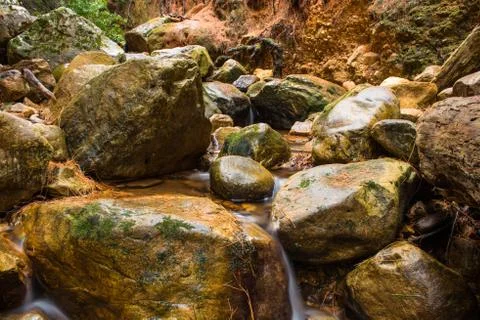 River in the forrest Stock Photos