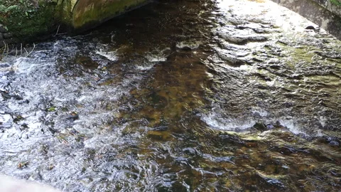 River Fowey Stock Footage 141148748