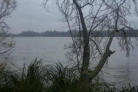 A river framed by trees in autumn during a light rainfall Stock Photos