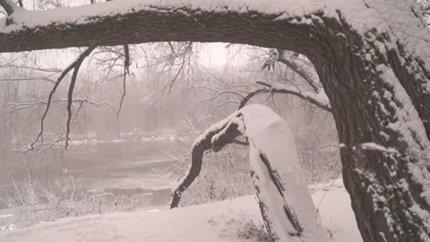 The river freezes, large willow branches 動画素材 145587017