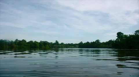 River in front of the Borneo Forest - Indonesia Stock Footage 64538029