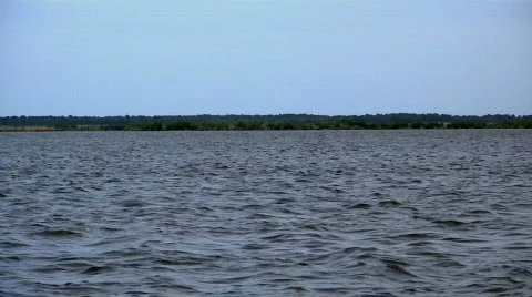 River front Video stock 458296