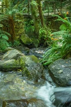 River in full flowing between the rocks and dense vegetation. Foto stock
