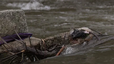 River full of plastic pollution in Portugal during flood season. Stock Footage 334224363