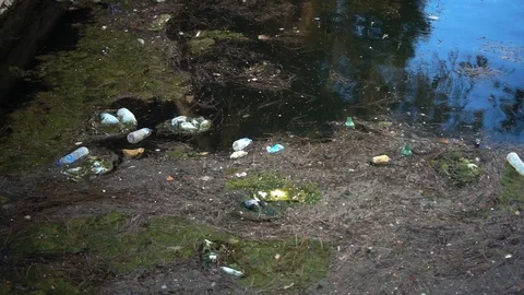 River Garbage Pollution 3 Stock Footage 96133886