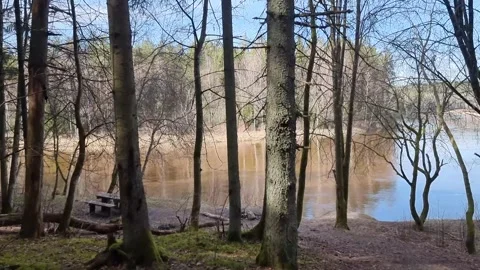 River Gauja, earl spring. Stock Footage 301225855