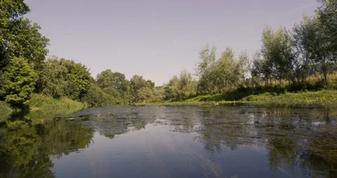 River in germany - hot summer Stock Footage 102947903