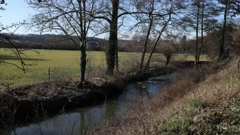River Geul with water flowing between bare trees, next to a cultivated field Stock Footage 149270177