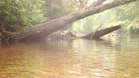 RIVER GLIDE Stock Footage 178497767